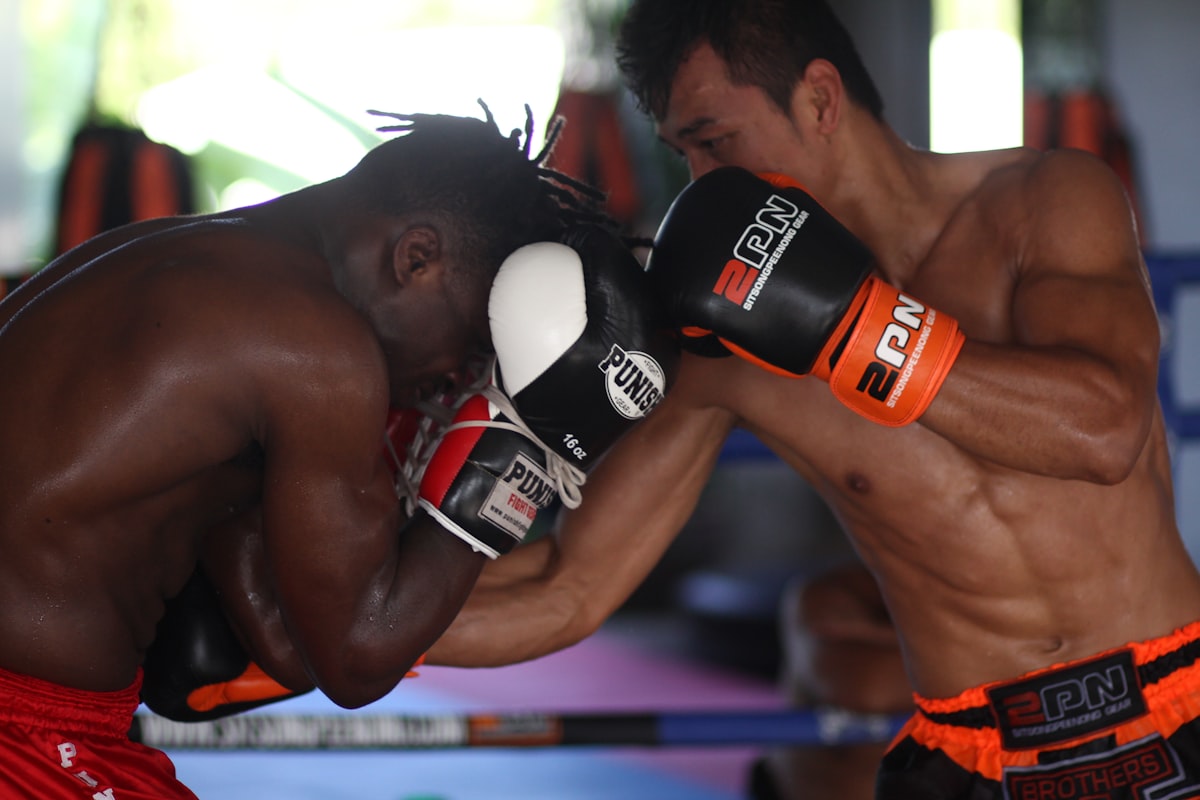 Nigeria Boxing Federation: Role, National Teams and How Boxing Registration Works