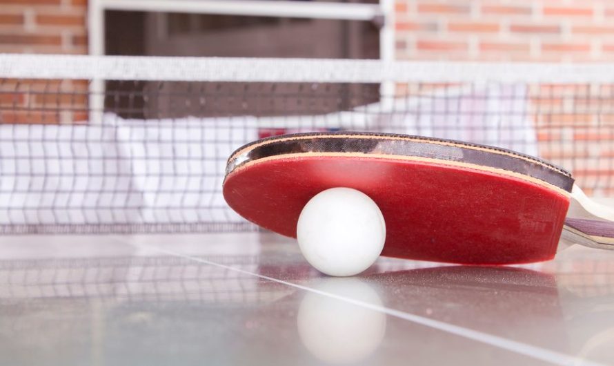 Table Tennis Rubber Types: How to Choose the Right Surface