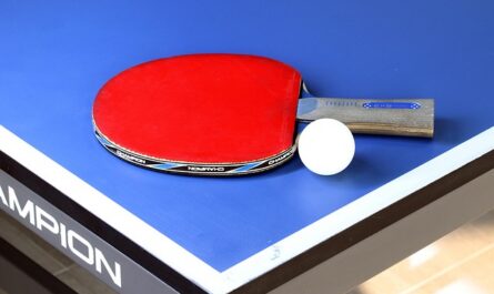Table Tennis Ball Size: Official Diameter, Weight and Rules