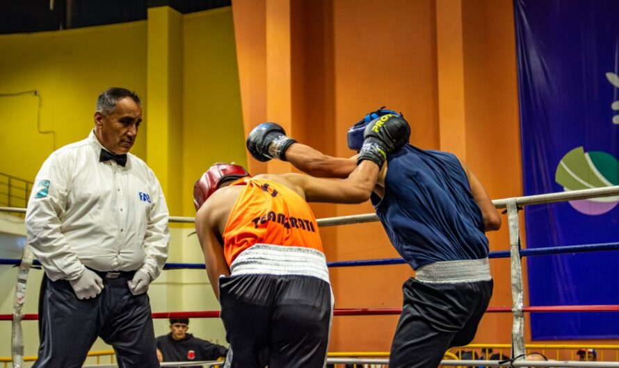 Boxing Referee Signals: What Every Gesture Means