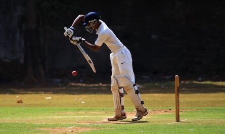 Test vs ODI vs T20: What Is the Difference in Cricket?
