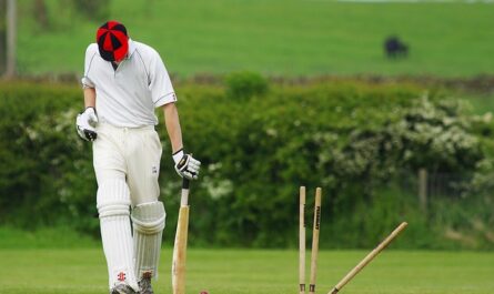 How to Play Cricket in Nigeria: A Practical Starting Guide