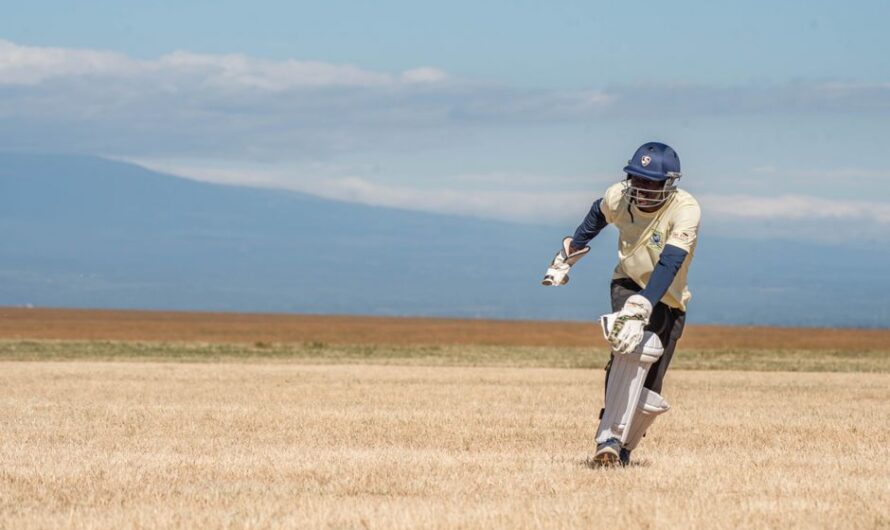 Cricket Catching Drills: Simple Exercises to Build Safer Hands
